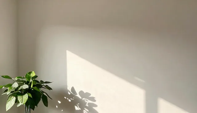 技术咨询产品匹配中的持续投入检查要点分析